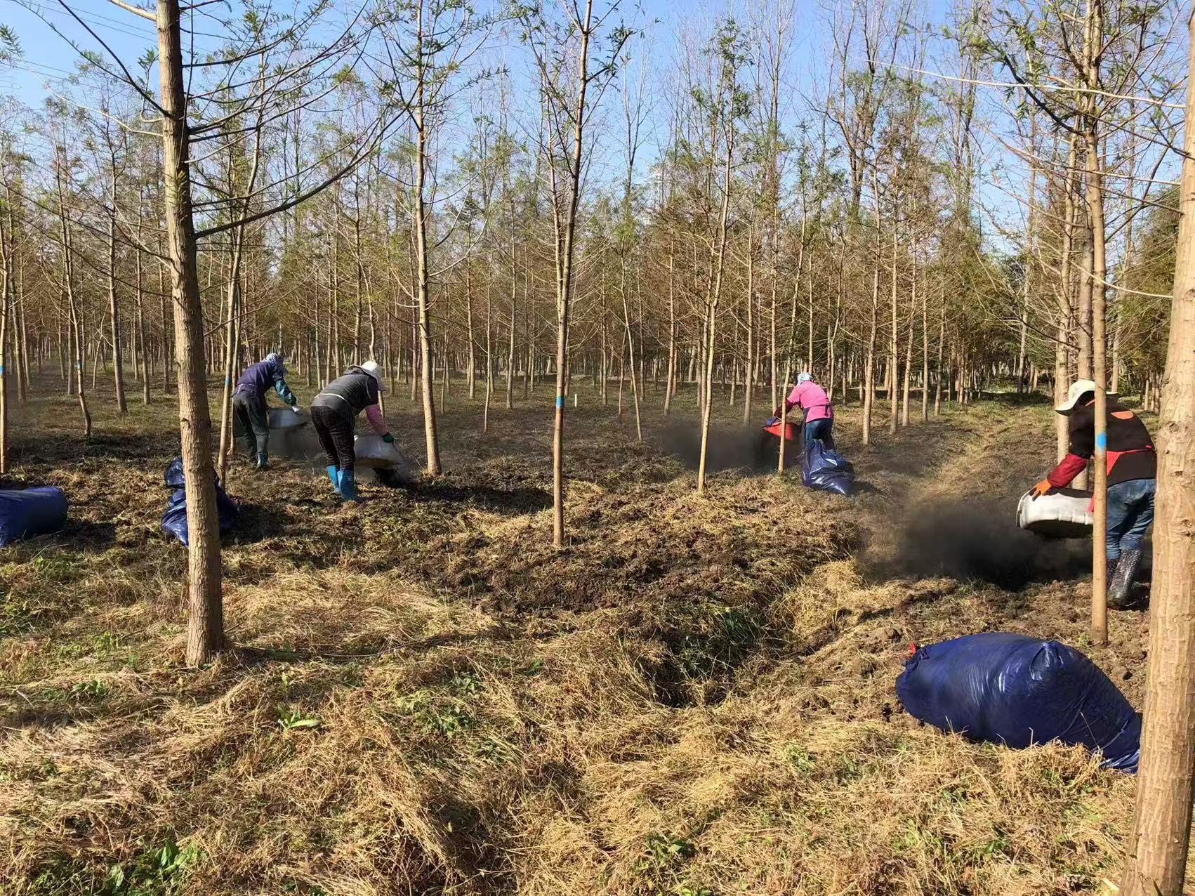 土地应用类生物炭场景